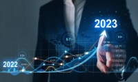 蓝箭电子：2024年净利润1511